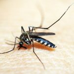 saude-discute-plano-de-enfrentamento-da-dengue