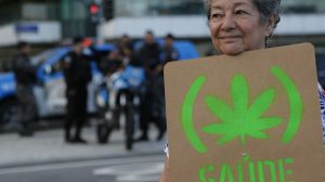 anvisa-defende-manutencao-de-marco-regulatorio-para-cannabis-medicinal